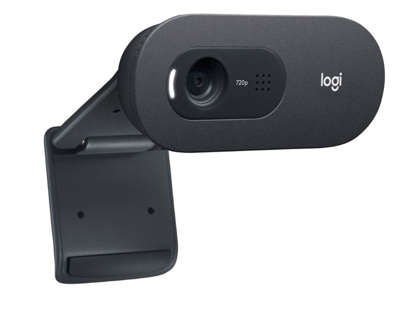 Цифровая камера 960-001372 Logitech WebCam C505e, черный